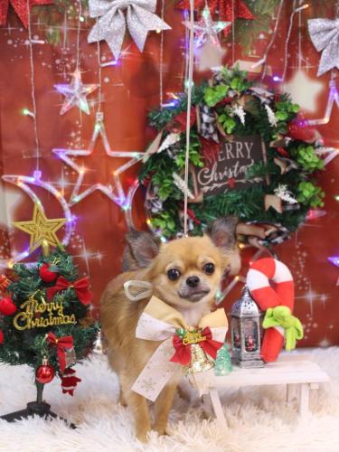 20231224れおくん